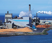 Pulp & Paper