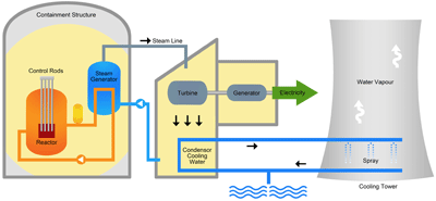 Nuclear Plant Process